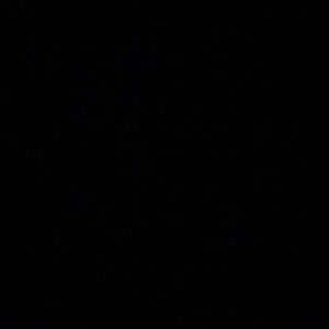 Meet your Posher, Caleb